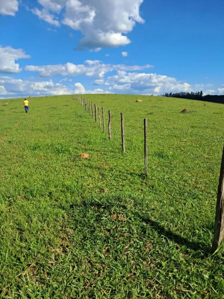 Terreno - Foto 1