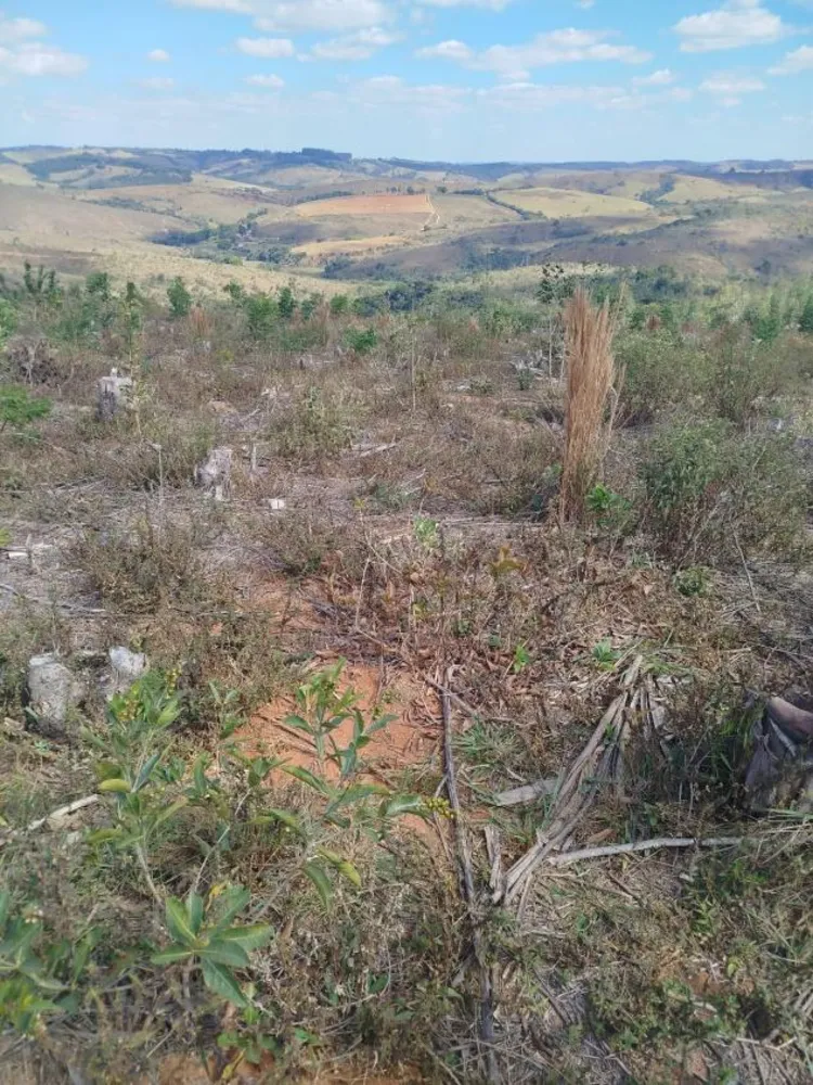 Fazenda - Foto 3