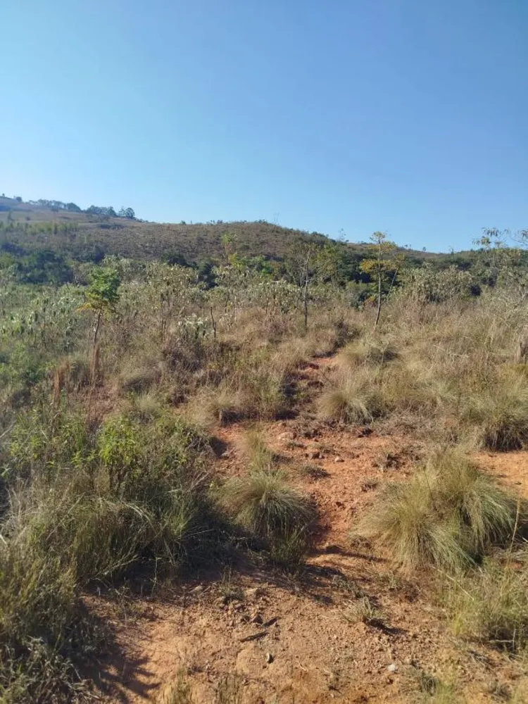 Fazenda - Foto 2