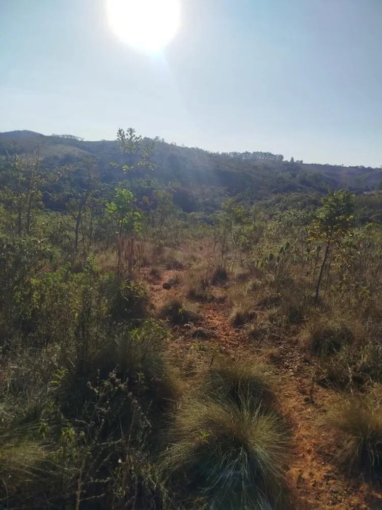 Fazenda - Foto 1
