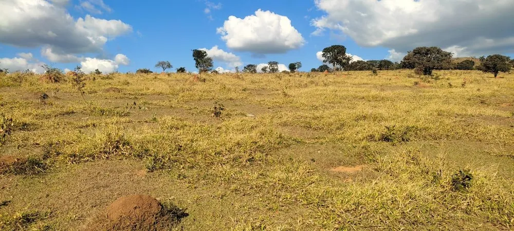 Fazenda - Foto 4