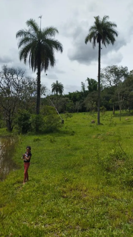 Terreno - Foto 1