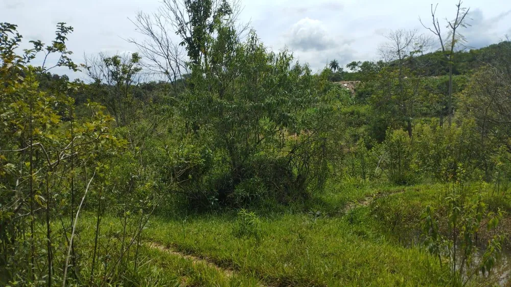 Terreno - Foto 4