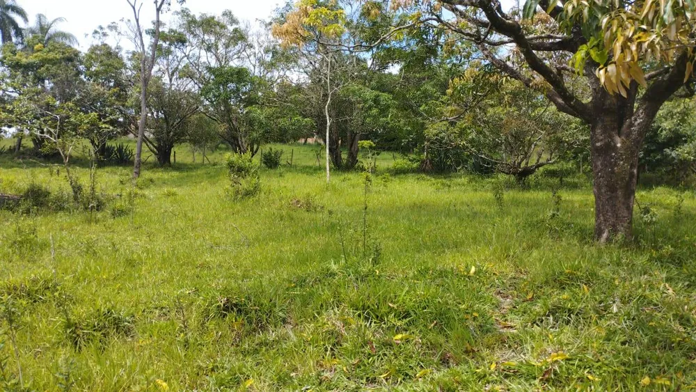 Terreno - Foto 2