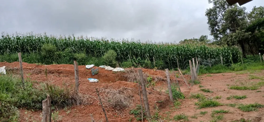 Fazenda, 590 m² - Foto 1