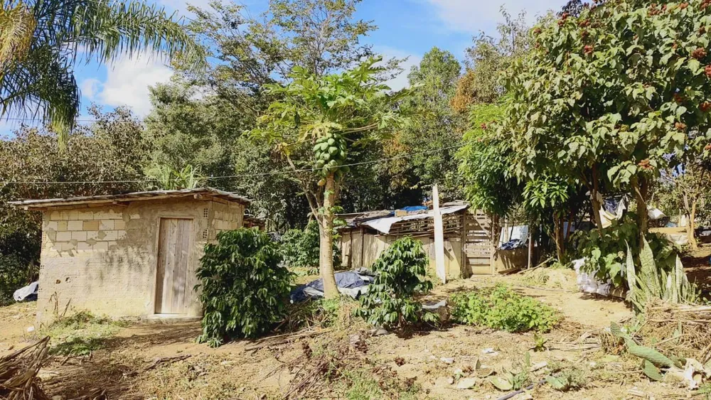Terreno - Foto 3