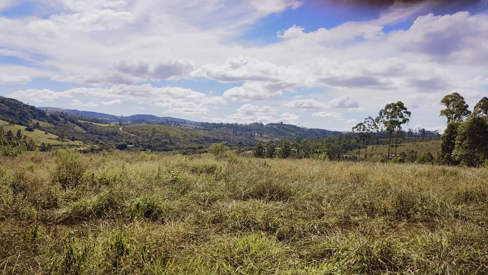 Terreno - Foto 4