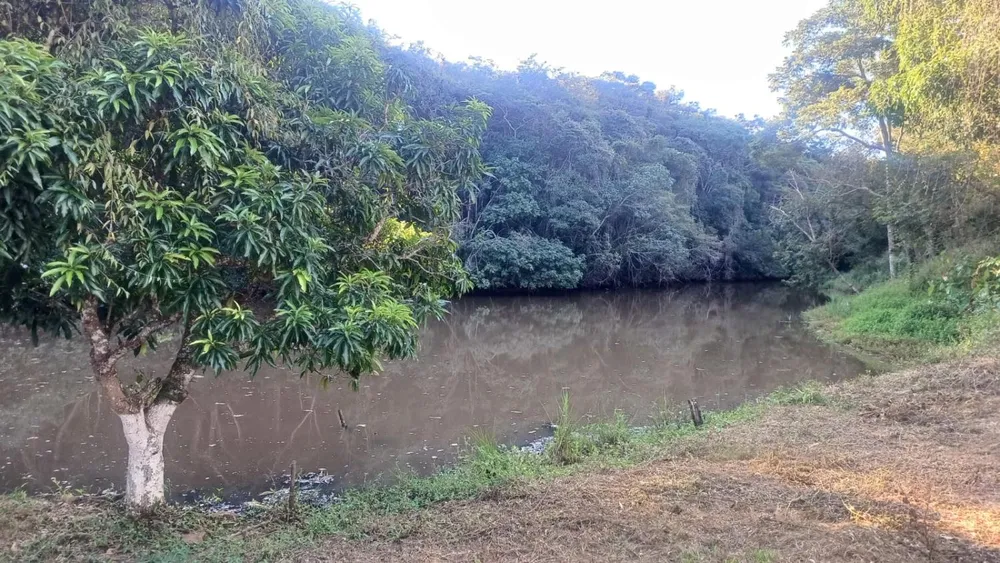 Fazenda - Foto 3