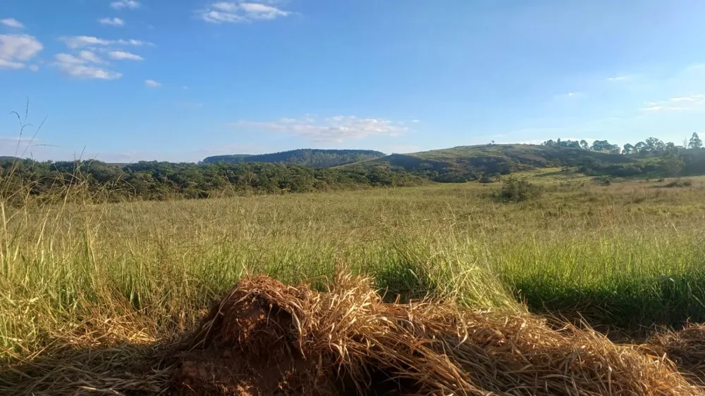 Fazenda - Foto 2