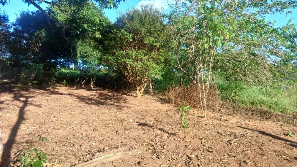 Fazenda - Foto 1