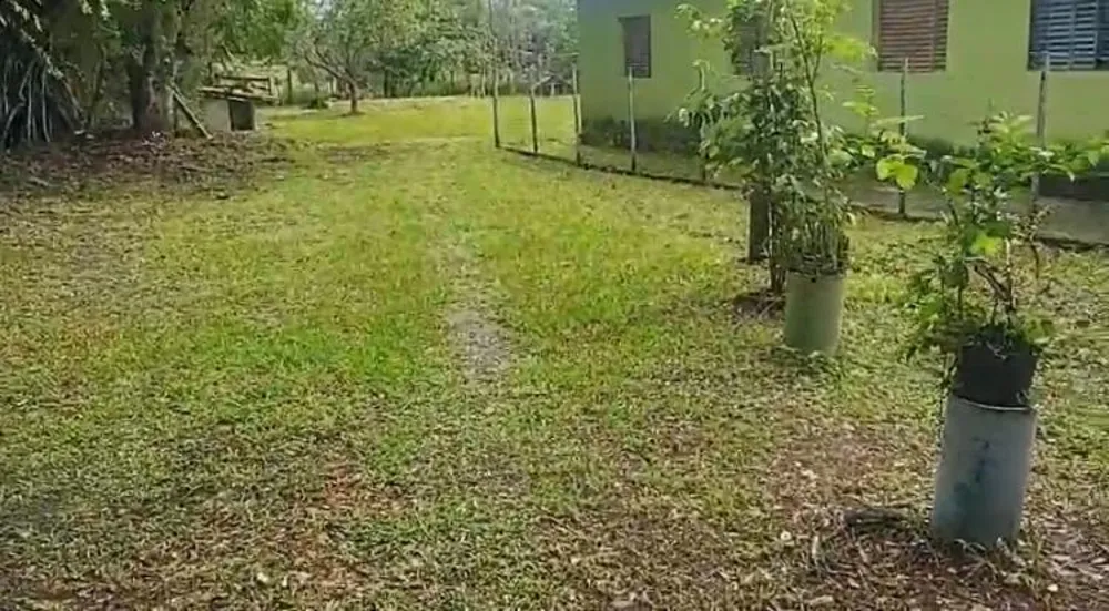 Fazenda, 186 m² - Foto 3