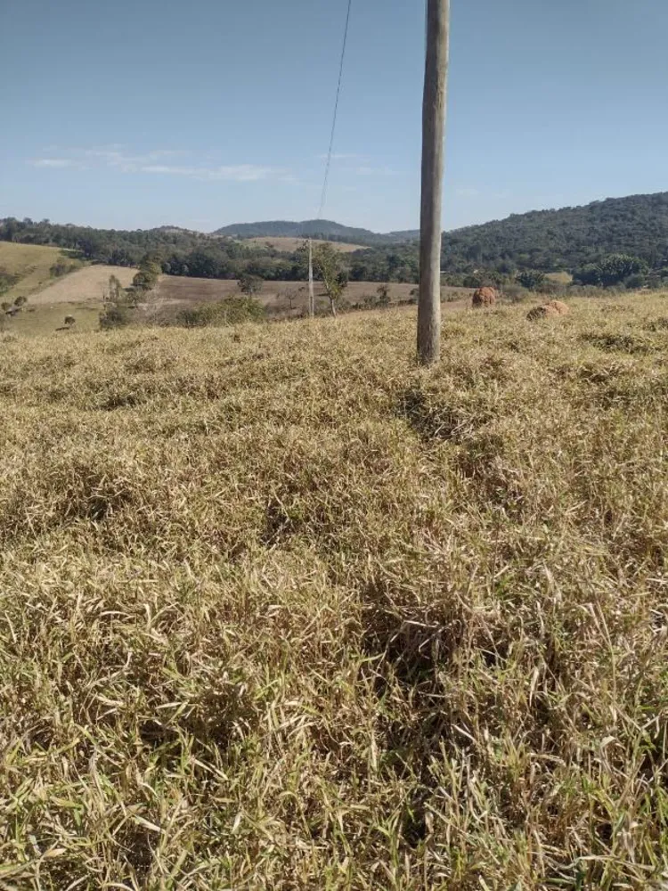 Terreno - Foto 1