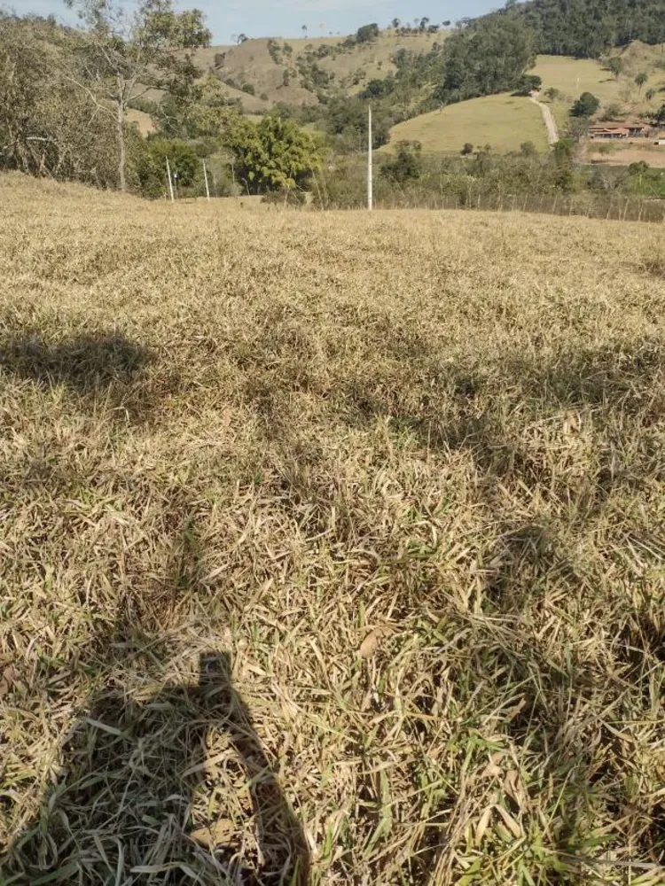 Terreno - Foto 4