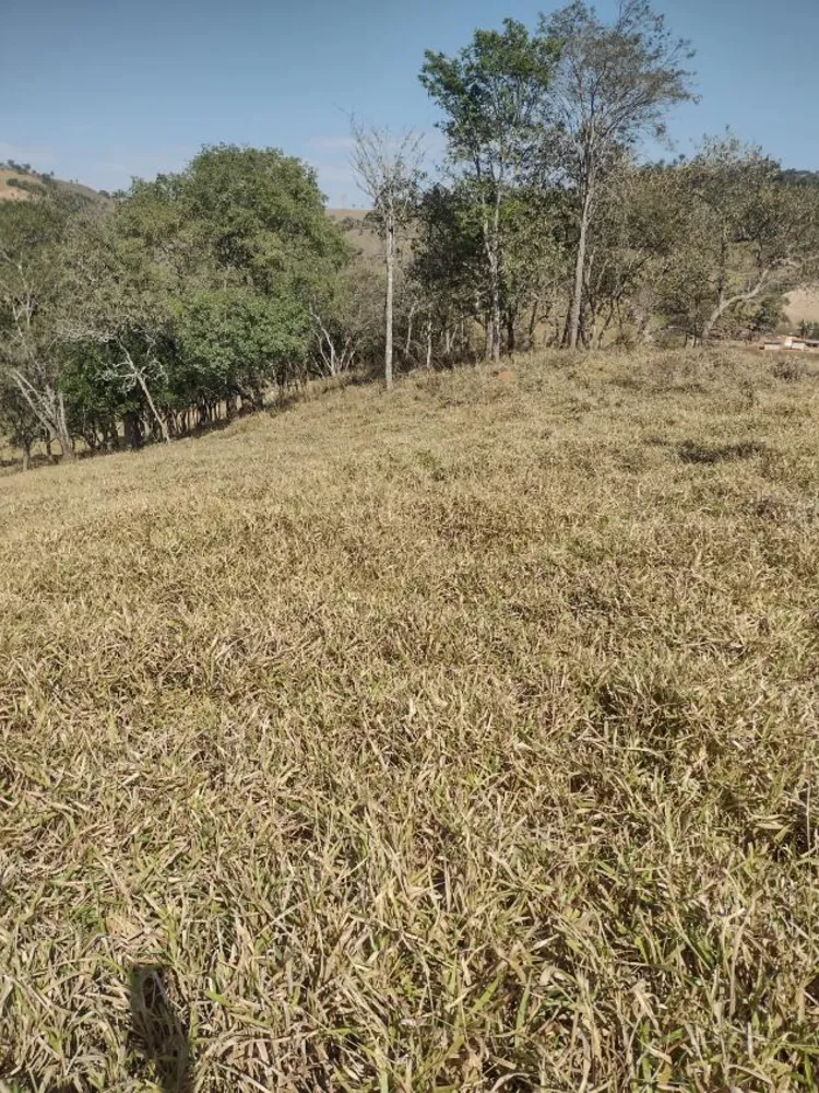 Terreno - Foto 2