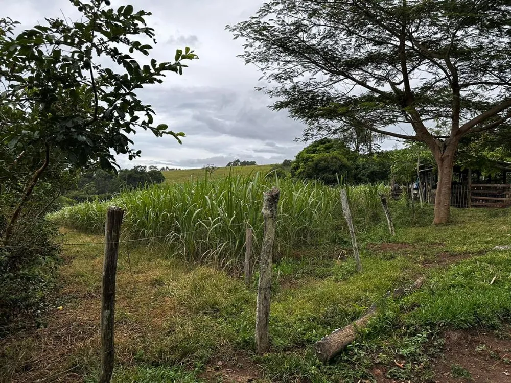 Terreno - Foto 4