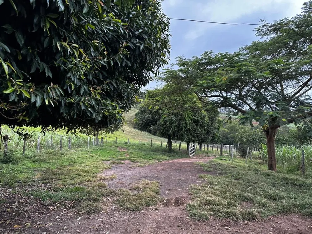 Terreno - Foto 1