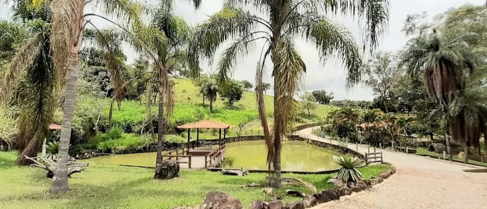 Fazenda - Foto 1