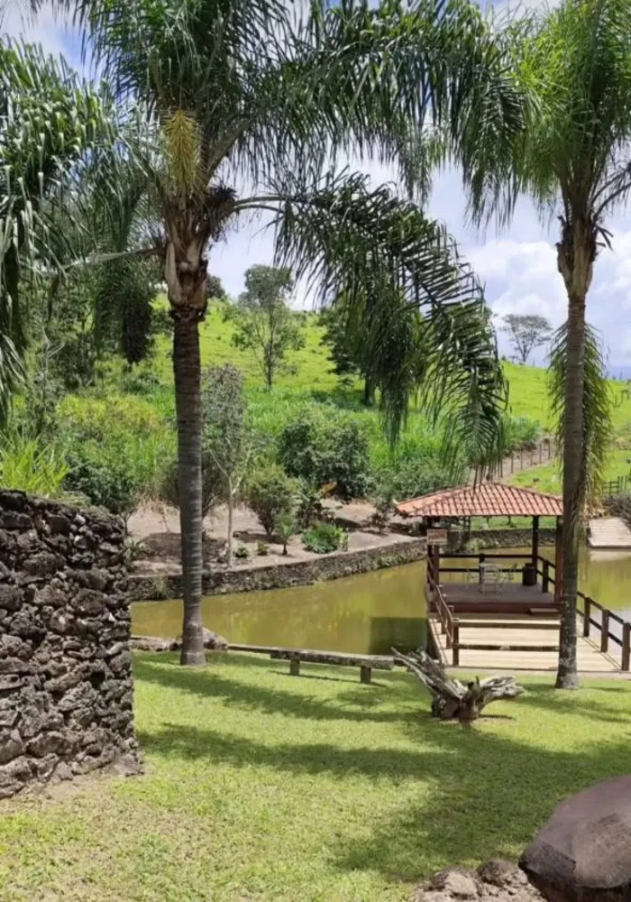 Fazenda - Foto 4