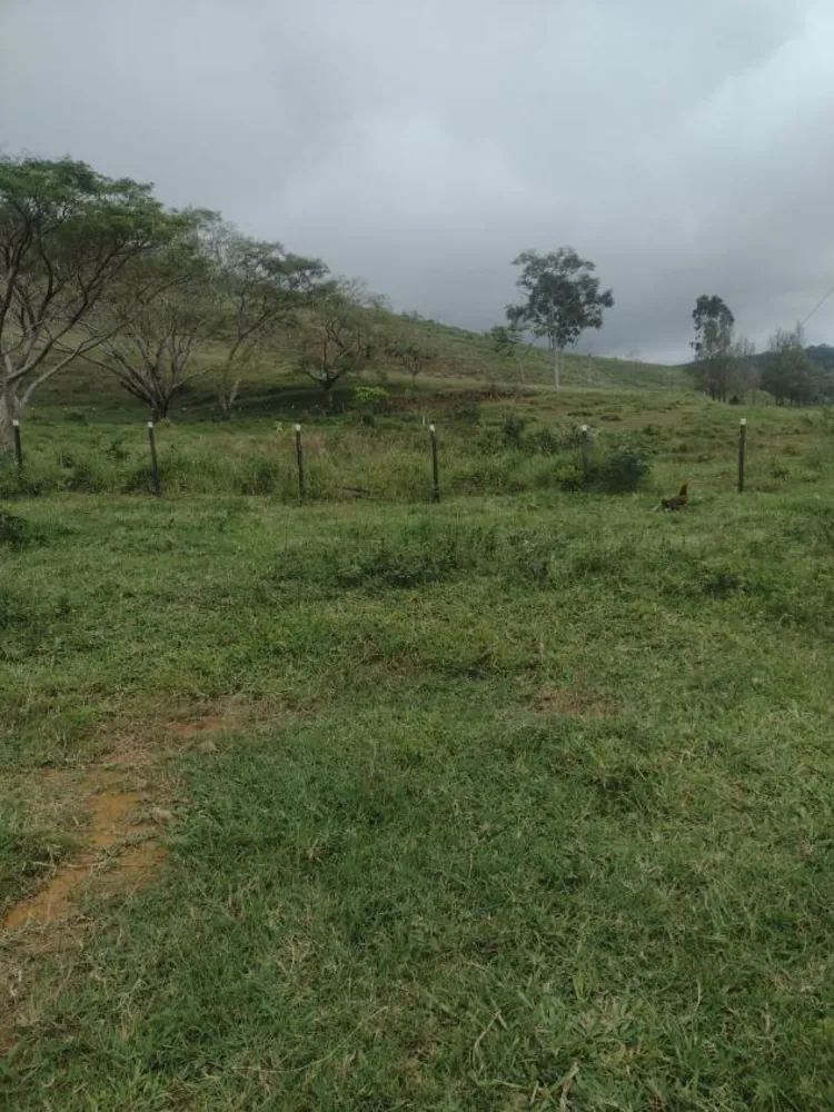 Fazenda - Foto 2