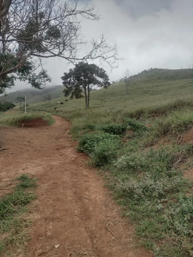 Fazenda - Foto 3