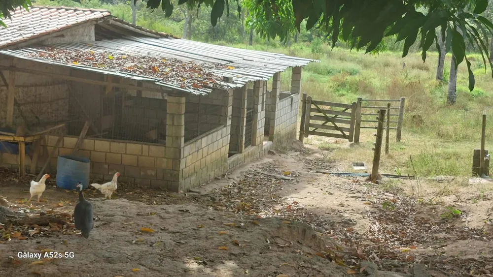 Fazenda, 600 m² - Foto 1