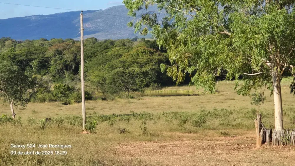 Fazenda - Foto 3