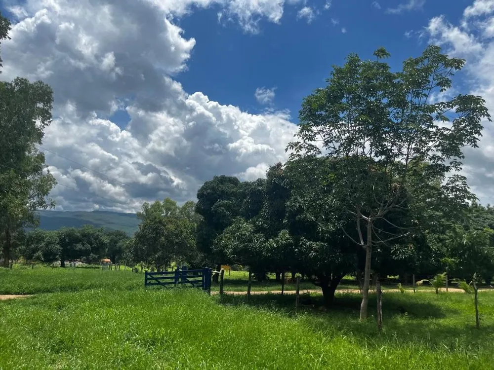 Fazenda - Foto 4