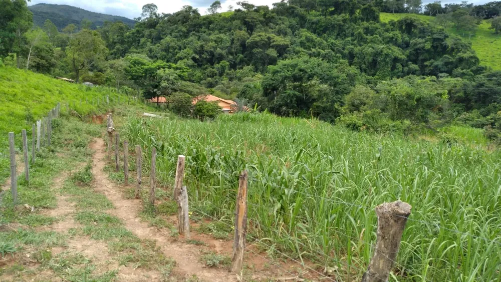 Fazenda, 780 m² - Foto 3
