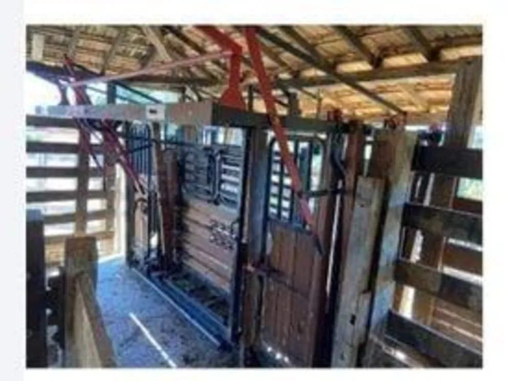 Fazenda - Foto 4
