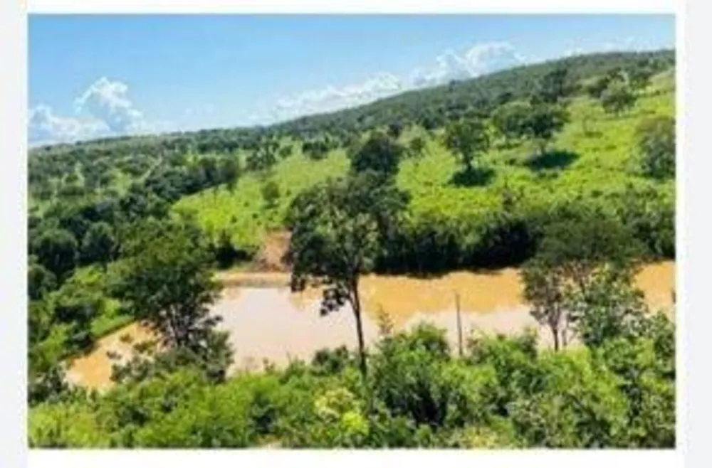 Fazenda - Foto 1