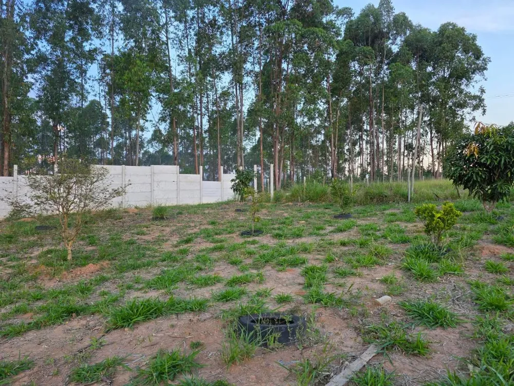 Sítio, 1 quarto, 25 m² - Foto 2