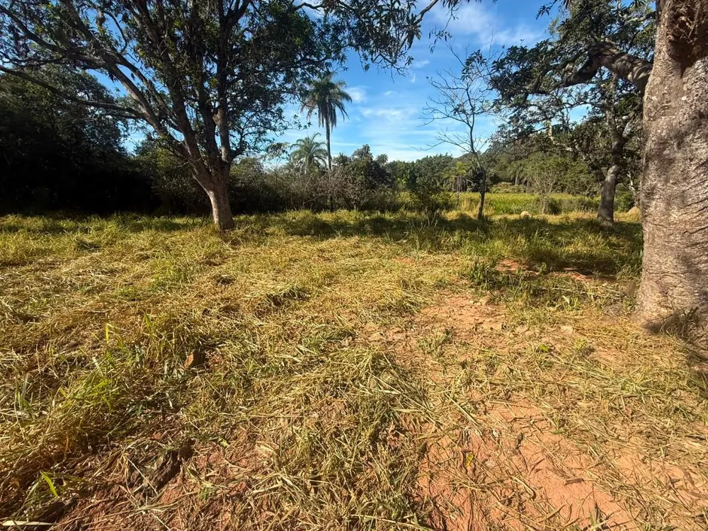 Fazenda - Foto 4