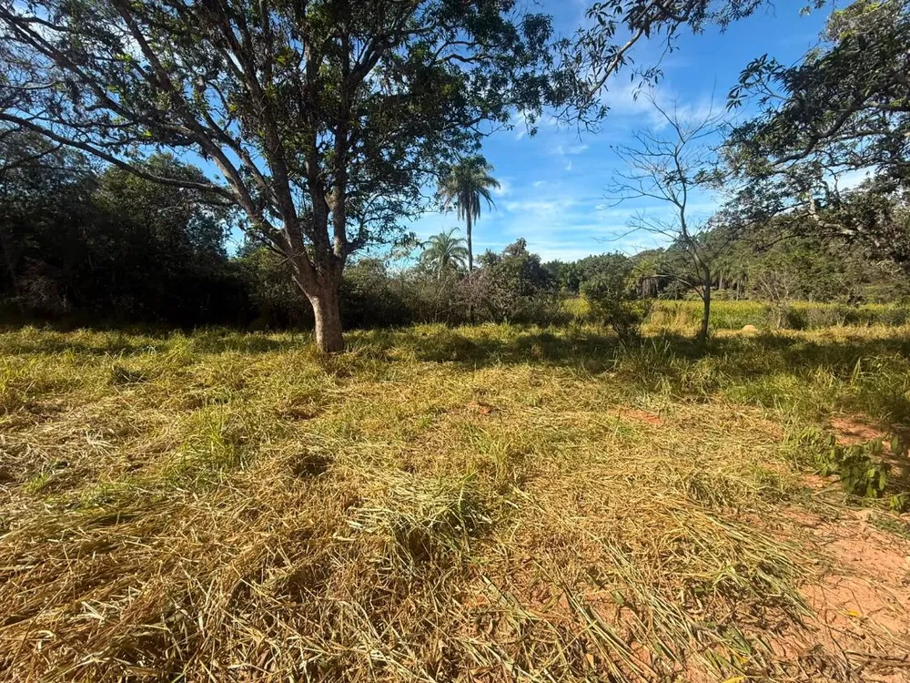 Fazenda - Foto 3