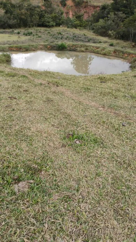 Fazenda - Foto 1