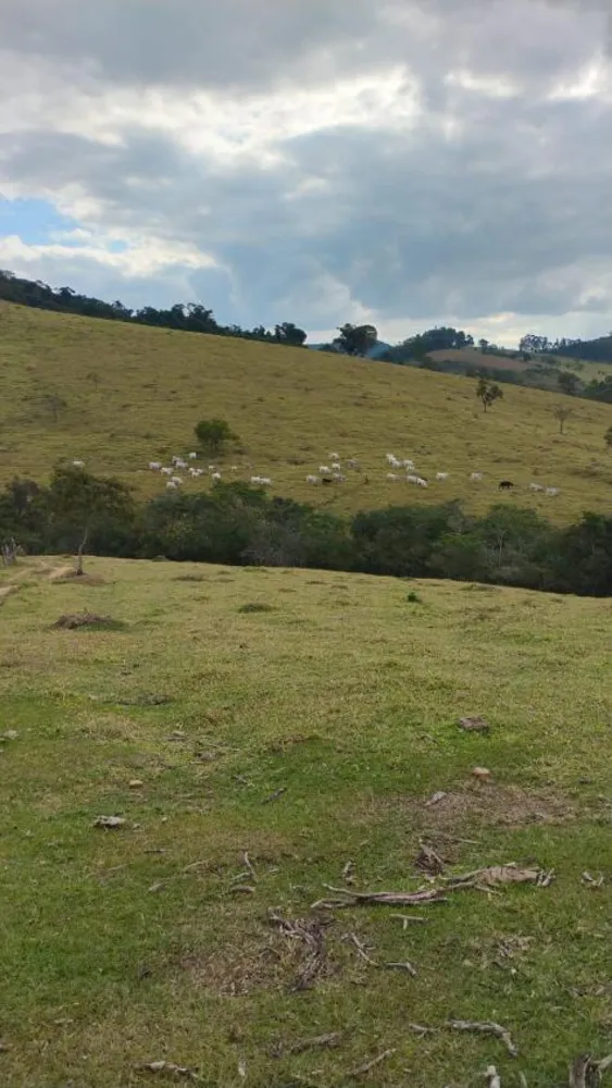 Fazenda - Foto 2
