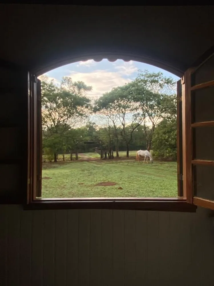 Fazenda - Foto 4