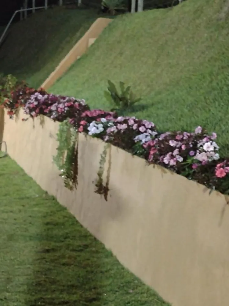 Fazenda, 55 m² - Foto 3