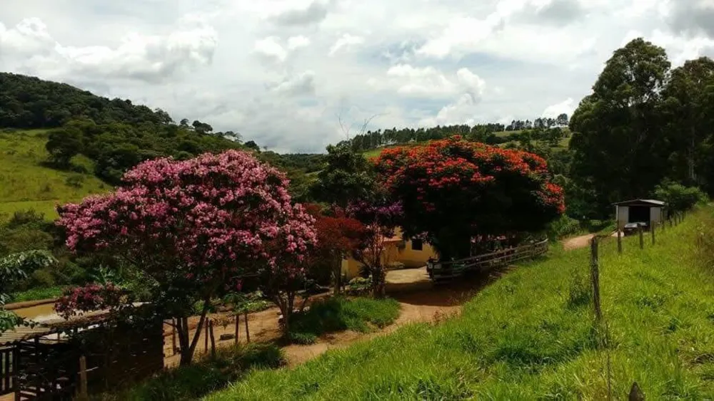 Sítio, 3 quartos, 300 m² - Foto 4