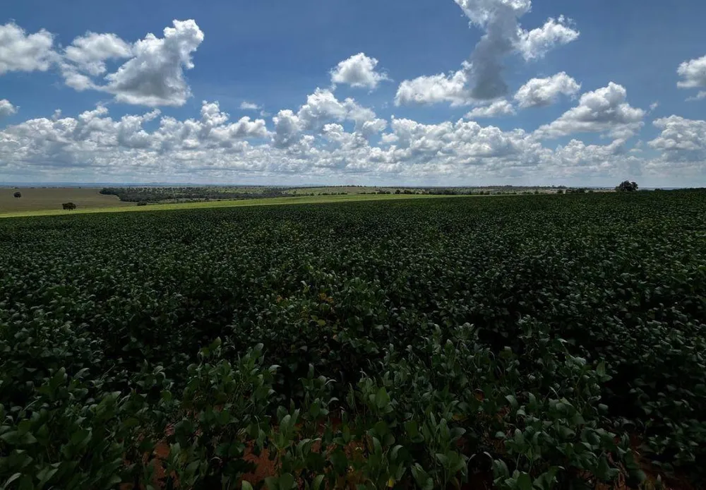 Fazenda - Foto 3