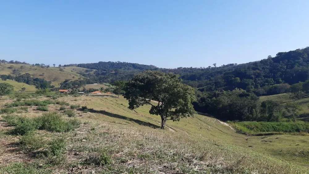 Fazenda - Foto 4