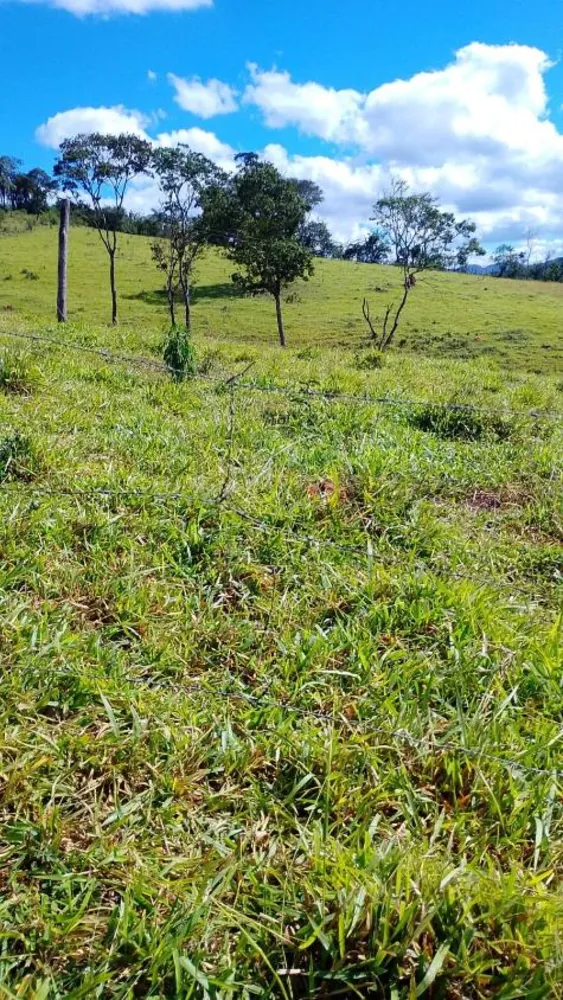 Fazenda - Foto 3