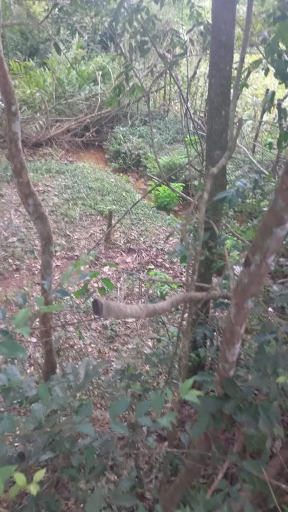 Fazenda - Foto 2