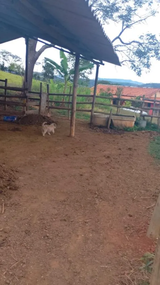 Fazenda - Foto 4