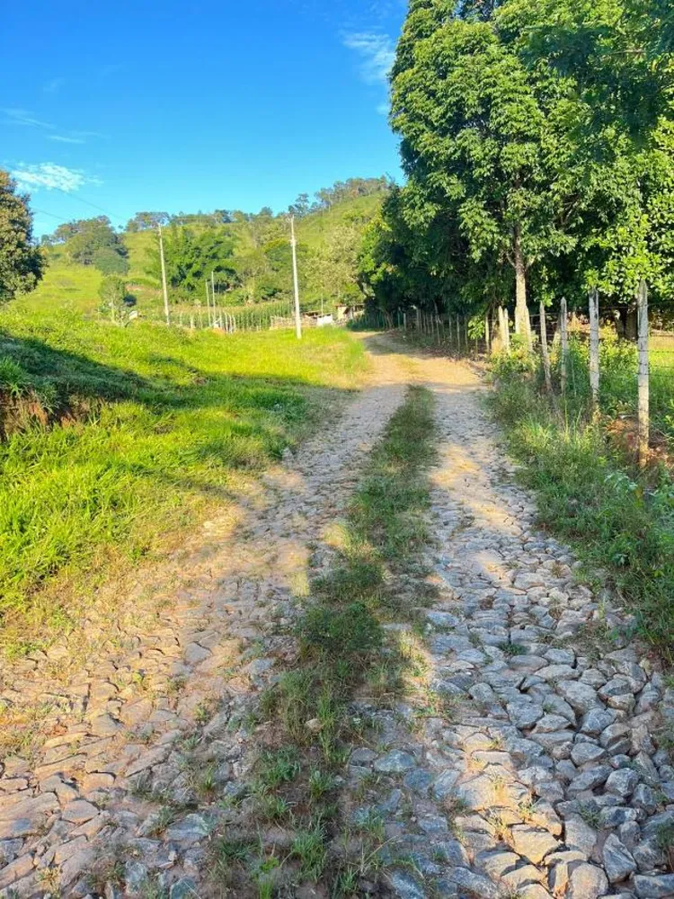Fazenda, 300 m² - Foto 3