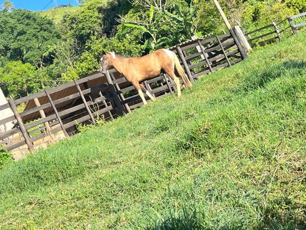 Fazenda, 300 m² - Foto 1