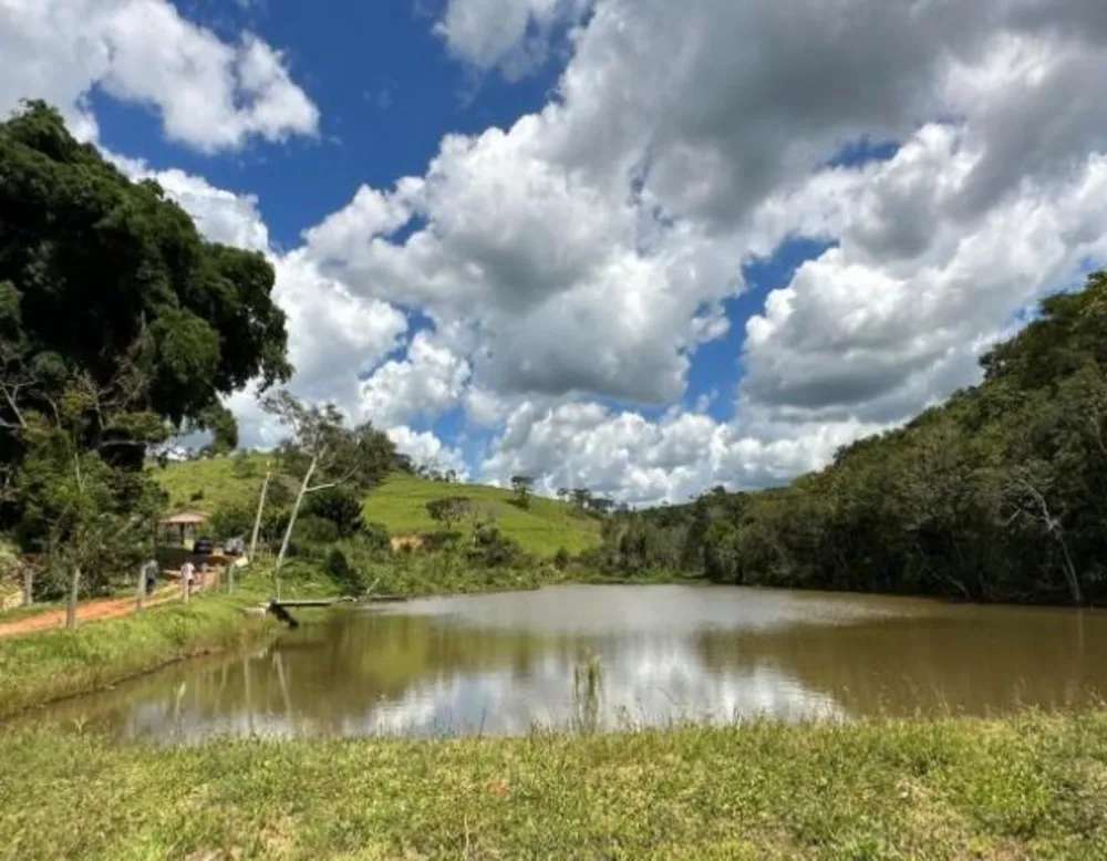 Fazenda - Foto 4