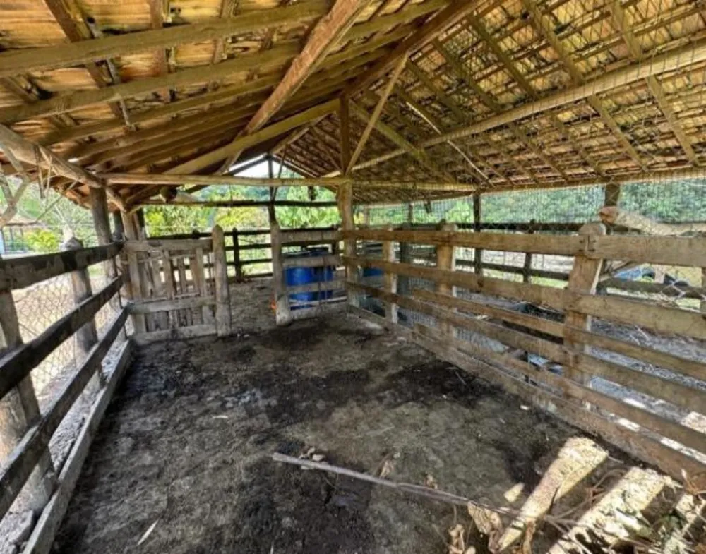 Fazenda - Foto 3