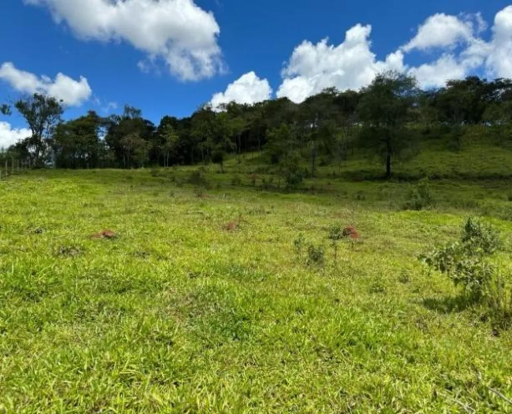 Fazenda - Foto 2