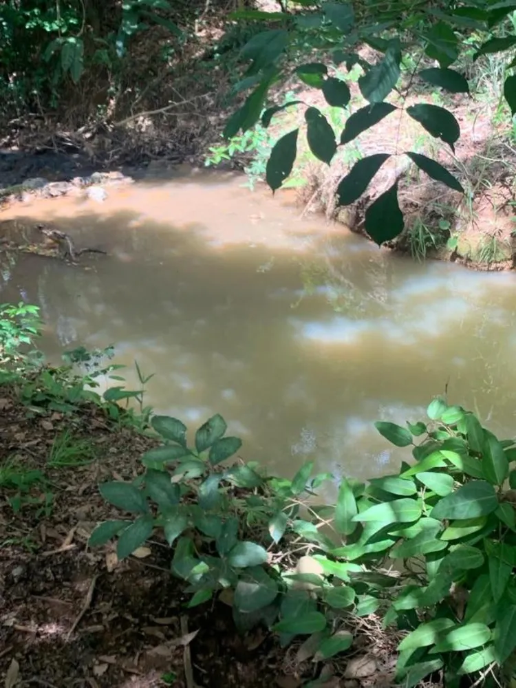 Fazenda - Foto 2