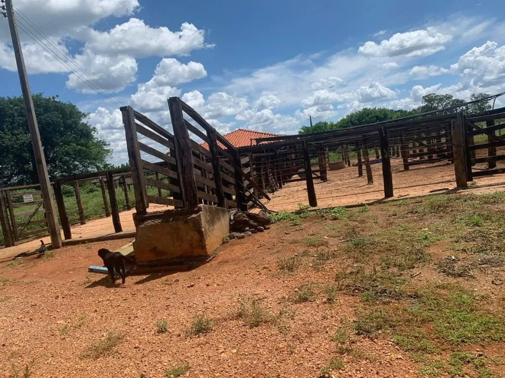 Fazenda - Foto 3